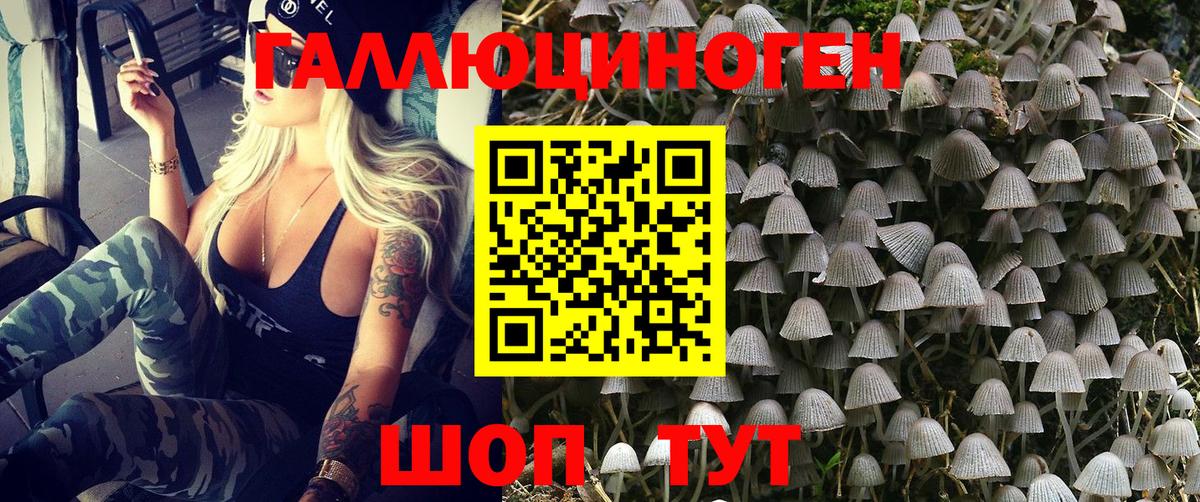 Галлюциногенные грибы ЛСД Урюпинск