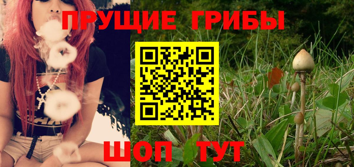 Урюпинск  Галлюциногенные грибы Magic Shrooms  Вход с VPN 